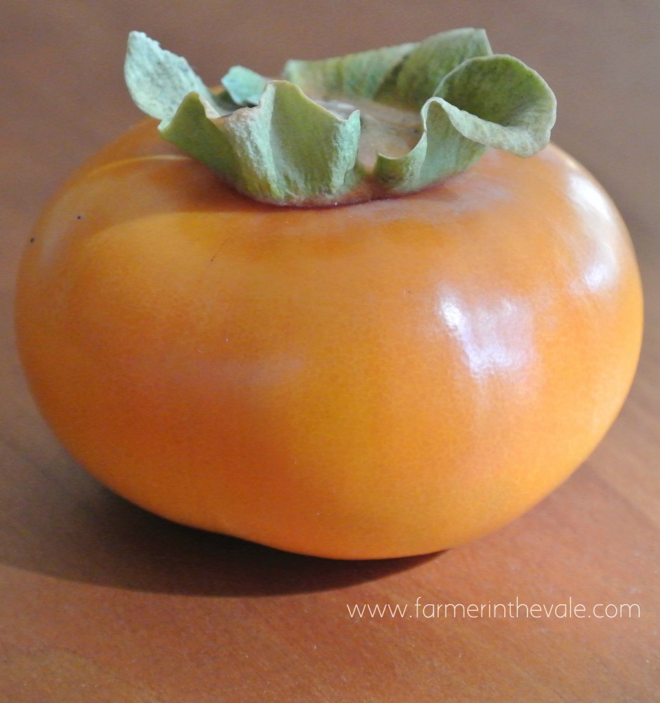 Recipes for Fuyu Persimmons