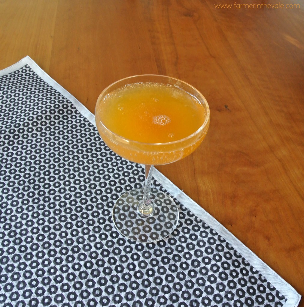 persimmon bellini