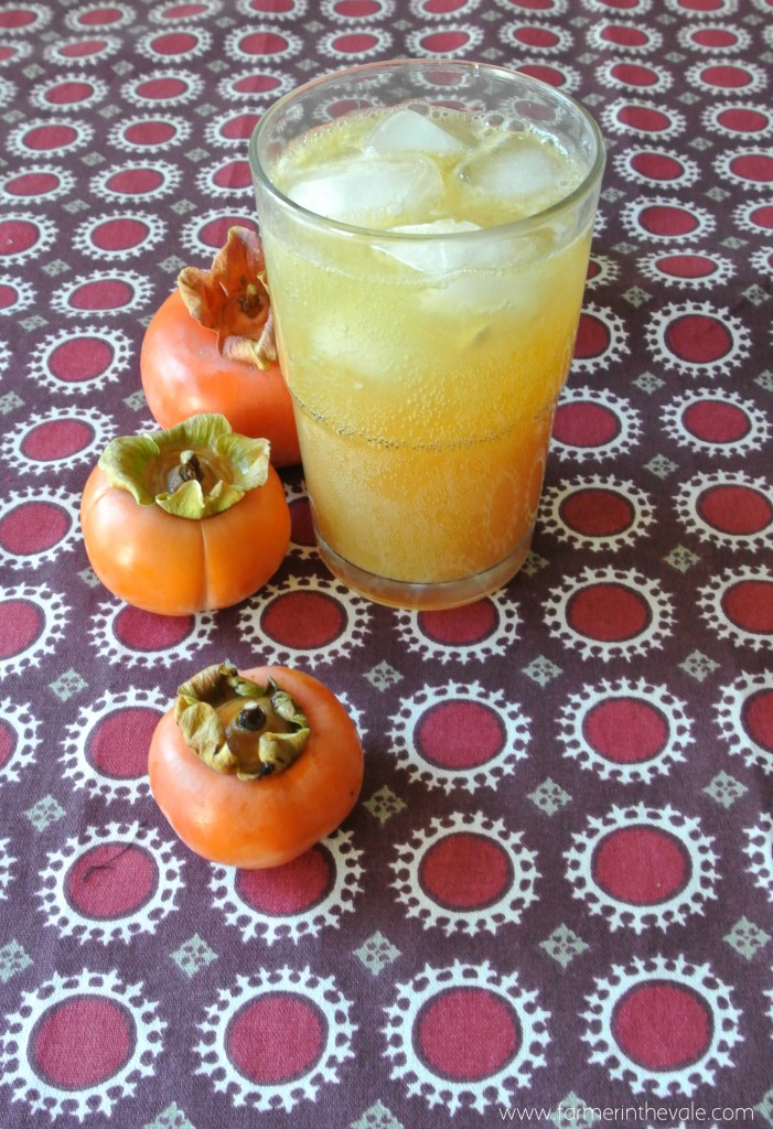 persimmon bourbon cooler