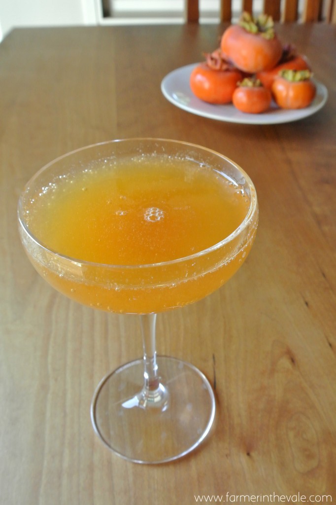 persimmon manhattan