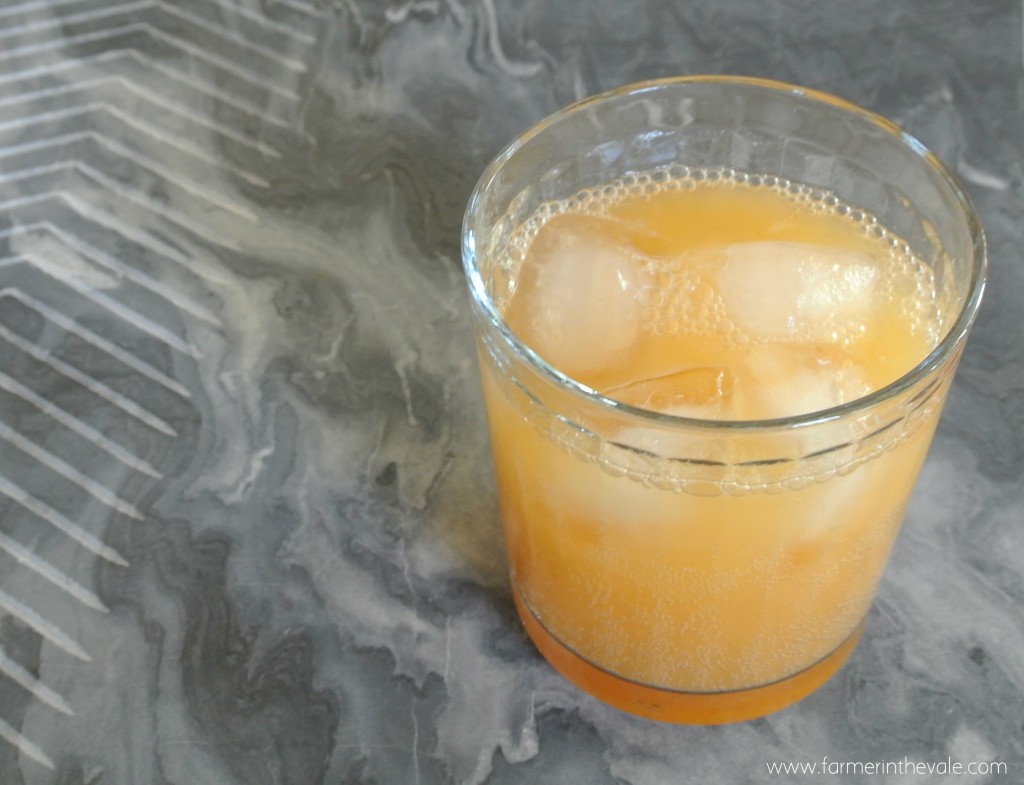 persimmon spritzer