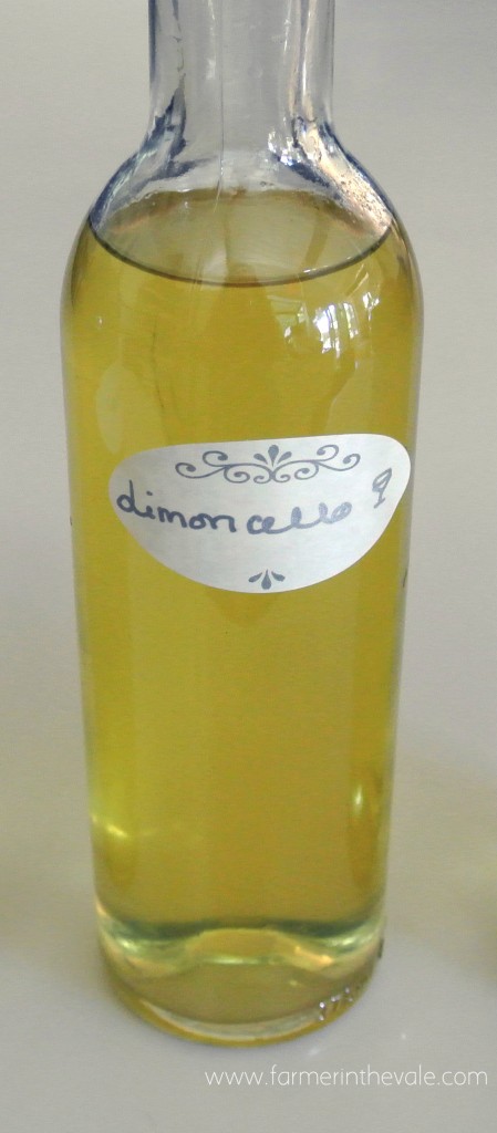 25 Holiday Recipes - Homemade Limoncello makes a great gift