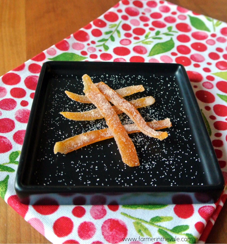 Countdown to Christmas - Candied Orange Peel