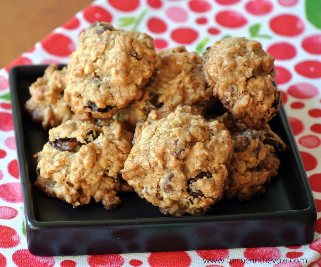 Countdown to Christmas - Crunchy Oatmeal Chip Cookies