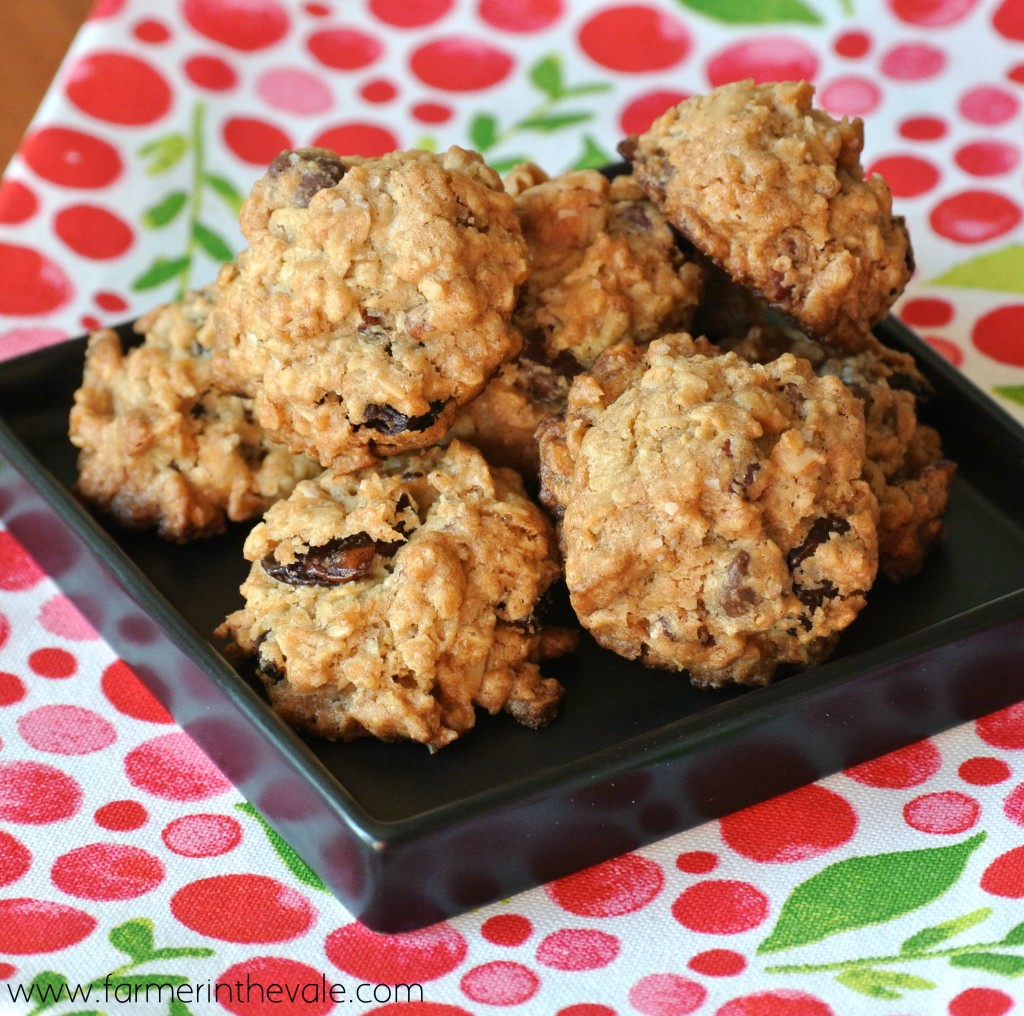 Crunchy Oatmeal Chip Cookies with Dried Fruit and Nuts