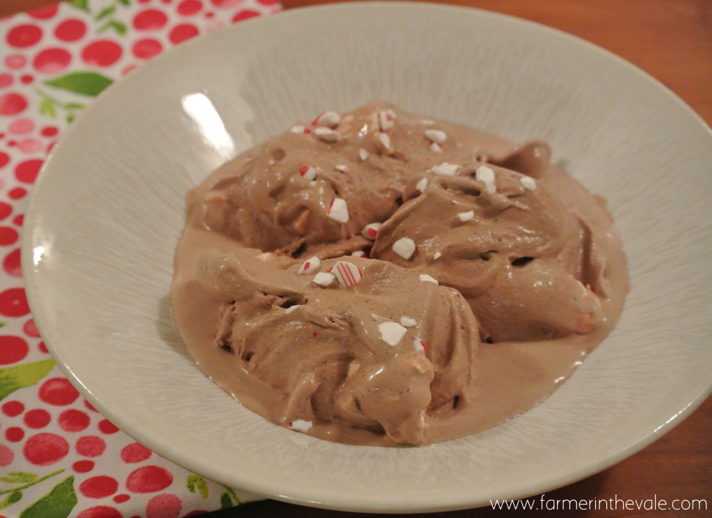 Peppermint Hot Chocolate Ice Cream