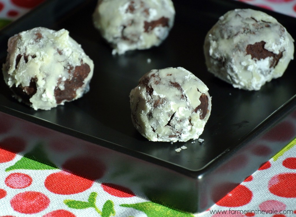 Scotch Chocolate Krinkles