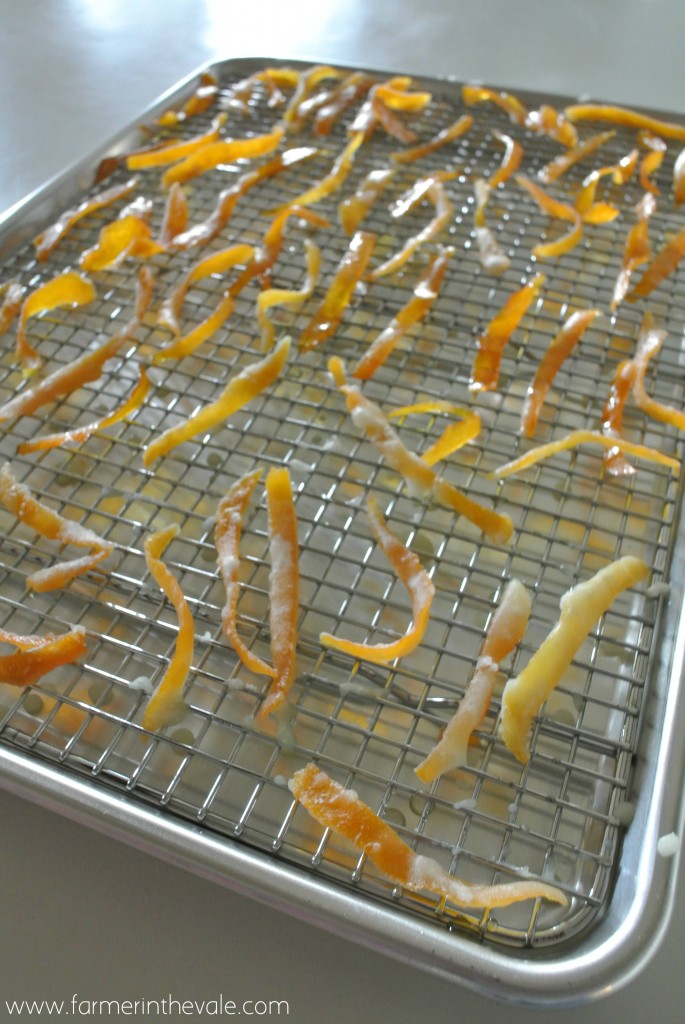 candied orange peel - a nice holiday garnish