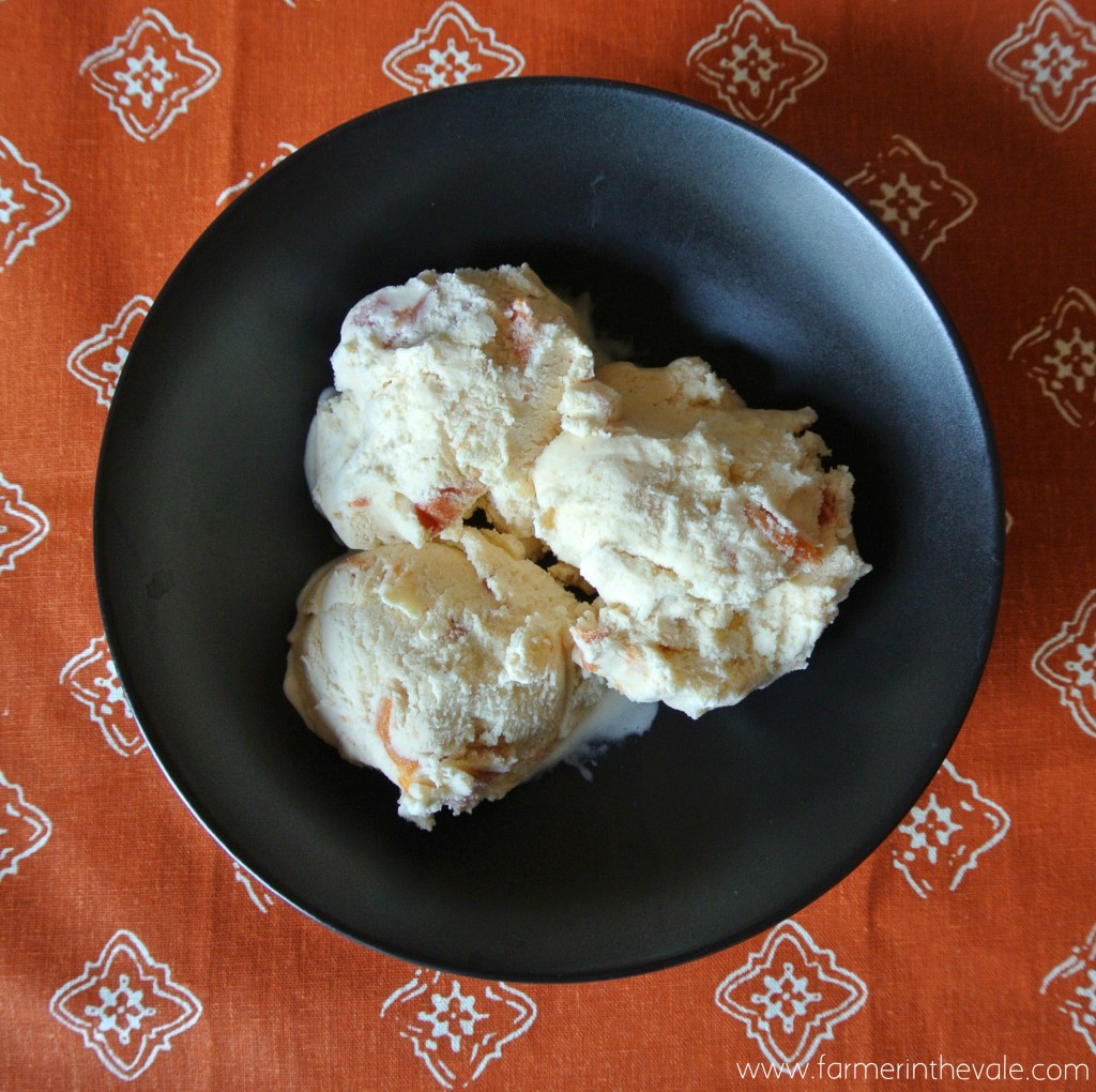 persimmon ice cream