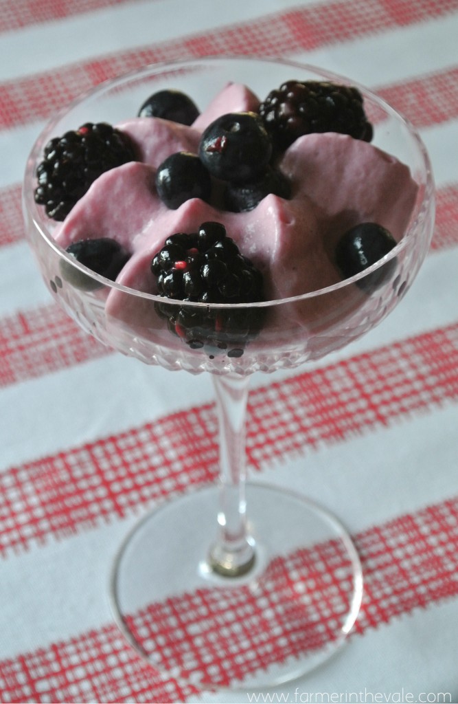 Berry Mousse with Fresh Berries
