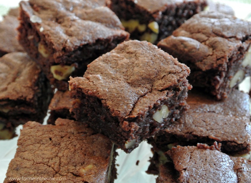 Classic Brownies