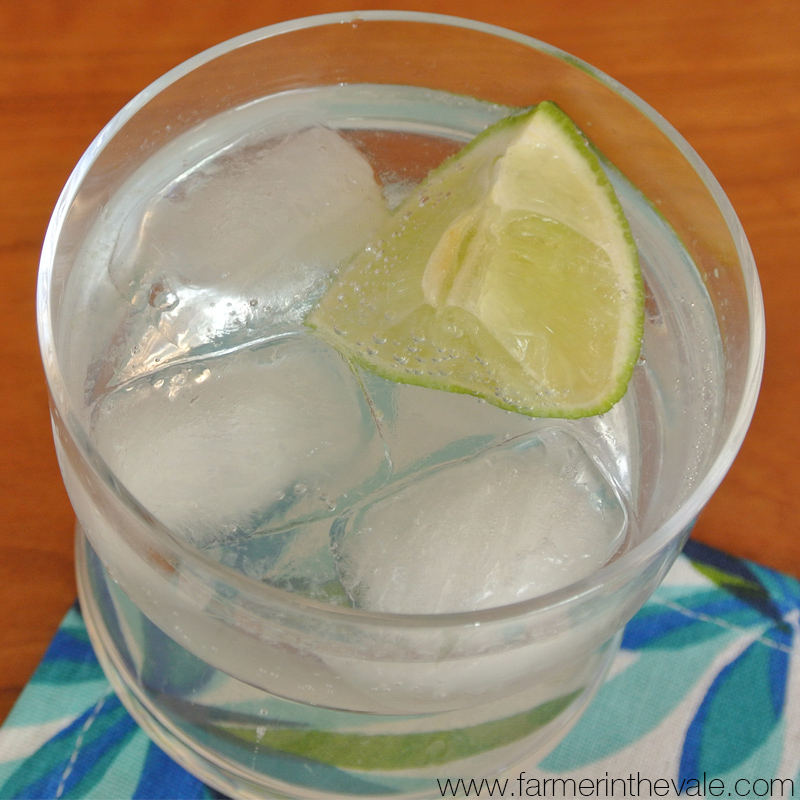 gin and tonic with lime